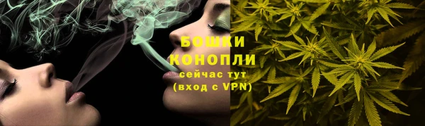 сатива Пестово