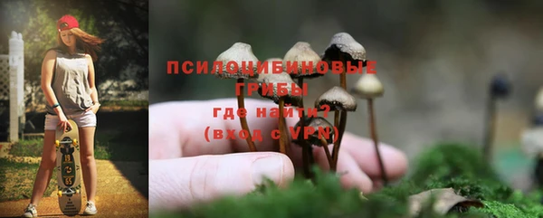 сатива Пестово