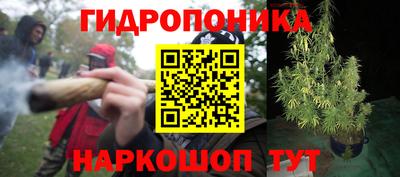 spice Бугуруслан