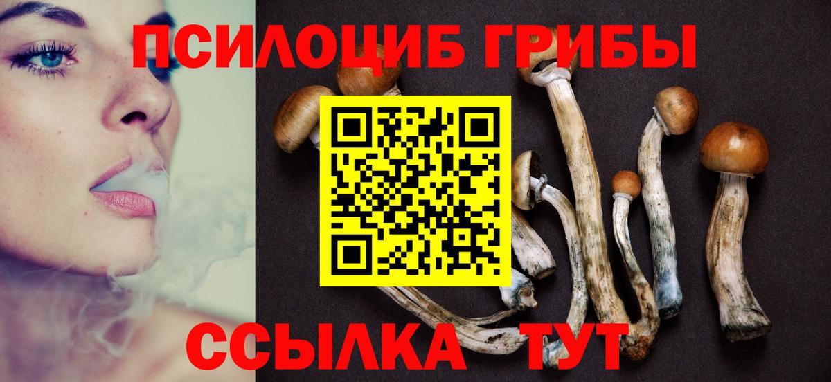 Псилоцибиновые грибы ЛСД Вязьма