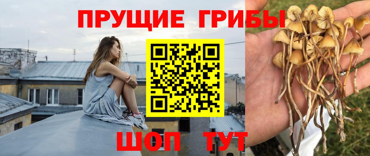 Галлюциногенные грибы мухоморы  Вязьма  Галлюциногенные грибы MAGIC MUSHROOMS 